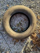 Dunlop SP 355. ������, 2019 ���, �/�, ����� �� 5 % ����
