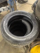 Sentury. ������, ��� �����, 2023 ���, �/�, ����� 45 % ����