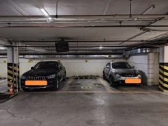 ����� �����������. . ��� ������ ����