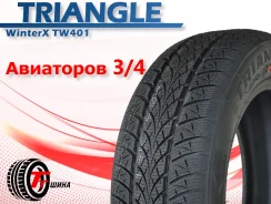 Triangle WinterX TW401. ������, ��� �����, 2026 ���, �����. ��������� ����