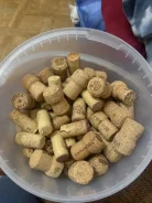 ����� ����� ������ ����