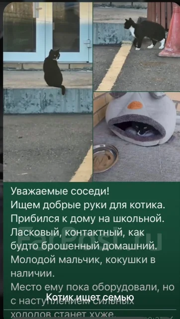 �����. ����