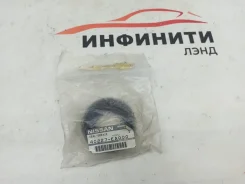 ������� �������� Infiniti Qx80 Qx56 40227EA000 Z62 40227EA000 ����