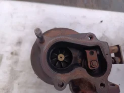 ������� 8970385181 ����