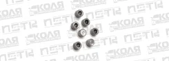 ������� ������������ (���� ������ �������) ��� �������� Bosch Common Rail F00VC21001 ����