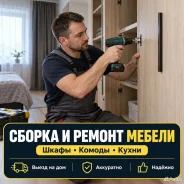 ������ ������. ����