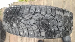 ZMax Winternova Stud I. ������, ����������, 2024 ���, �/�, ����� �� 5 % ����