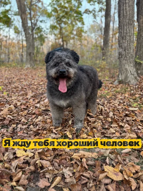 ������. ����