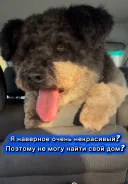 ����������� ������. ����