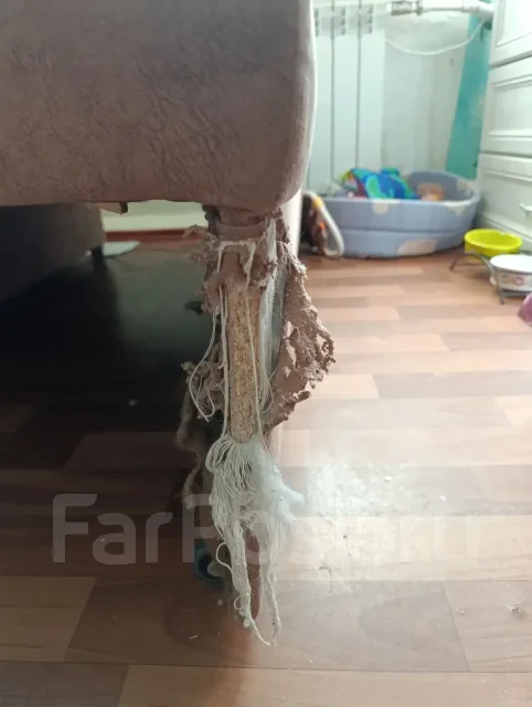 ����� ����