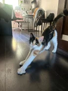 �����. ����