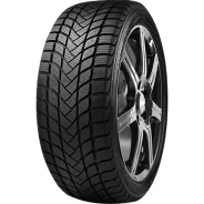 Delinte Winter WD6