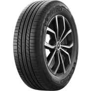Michelin Primacy