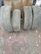 5Fivex. �����������, 2020 ���, �/�, ����� 50 % ����