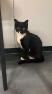 ����������� �����. ����