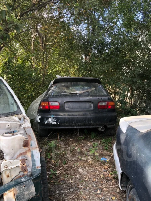 Honda Civic. ��������, ��������, ������ ����
