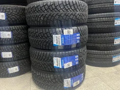 Fortune Polaro Ice. ������, ����������, 2026 ���, ����� ����