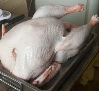 �������. ����