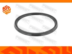 ������ �������������� ���������� �������� Febest 16400020 16400020 ����