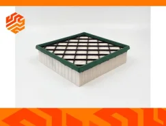 ������ ��������� BIG Filter GB9597PL GB9597PL ����