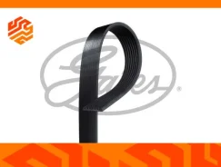 ������ ���������� Gates 8PK1230 8PK1230 ����