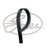 ������ ������������ XF Gates 4PK833 4PK833 ����