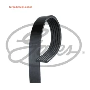 ������ ������������ XF Gates 6PK1195 6PK1195 ����