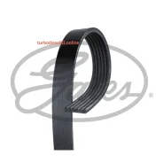 ������ ������������ XF Gates 6PK1693 6PK1693 ����