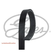 ������ ������������ XF 58409 Gates 5PK1545 5PK1545 ����