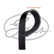 ������ ������������ XF Gates 7PK2265 7PK2265 ����