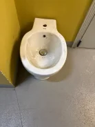 ���� ����� ����