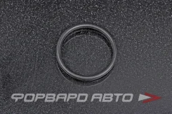 ������ �������������� ������������ 29*2,5 NOK OR-02.50_029.00 OR025002900 ����