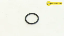 ��������� ��������������� OP Z18XER, Z16XER, A18XER, A16XER 55353331 GM 5650969 ����