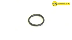 ��������� ��������������� OP Z18XER, Z16XER, A18XER, A16XER 407607500 Victor Reinz 5650969 ����