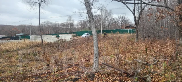 ������ ������� �������. 5����., ����� ��������������������� ����������, �������������, �������������, ���� ����
