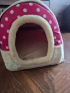 ������. ����