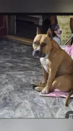 ������. ����