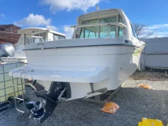 Nissan Suncruise. 2002 ���, ����� 8,8��., ��������� ������������, 230��.�., ������ ����