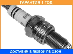 ����� ��������� WR8DCX+ (1.1) Bosch / 0242229687 0242229687 ����