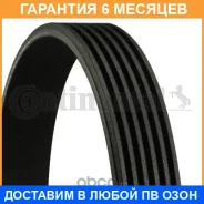 ������ ���������� Contitech / 6PK1705 �������� 6 ��� 6PK1705 ����
