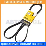 ������ ������������ Contitech / 6PK1885 �������� 6 ��� 6PK1885 ����