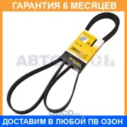 ������ ������������ Contitech / 6PK1980 �������� 6 ��� 6PK1980 ����