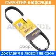 ������ ���������� ��� 2110 �������� Contitech / 6PK737 �������� 6 ��� 6PK737 ����