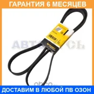 ������ ������������ Contitech / 6PK2000 �������� 6 ��� 6PK2000 ����