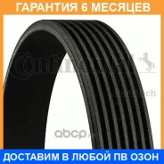 ������ ���������� Contitech / 7PK1040 �������� 6 ��� 7PK1040 ����