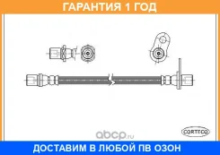 ����� ��������� 19032205 Corteco / 19032205 �������� 12 ��� 19032205 ����