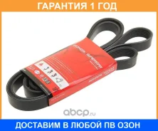������ ������������ Dongil / 6PK1370 �������� 12 ��� 6PK1370 ����