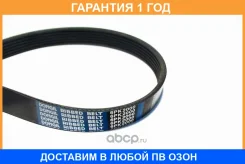 ������ ������������ Dongil / 6PK2000 �������� 12 ��� 6PK2000 ����