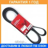 ������ ������������ Dongil / 6PK2245 �������� 12 ��� 6PK2245 ����