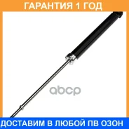 ����������� (R) Double Force / DF343431 �������� 18 ��� DF343431 ����